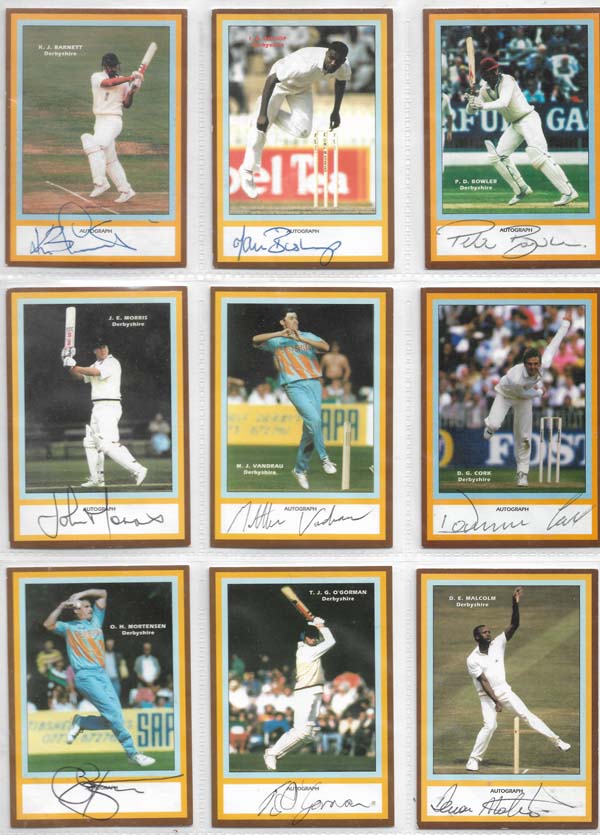 County Print 1993 County Cricketers (216)