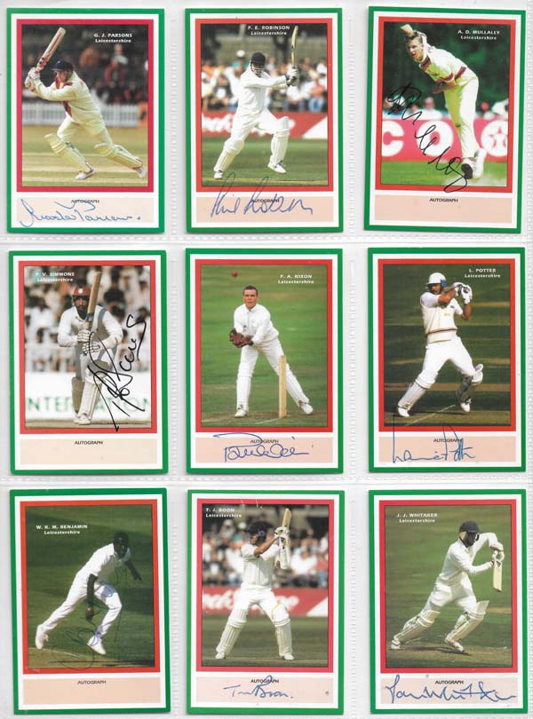 County Print 1993 County Cricketers (216)