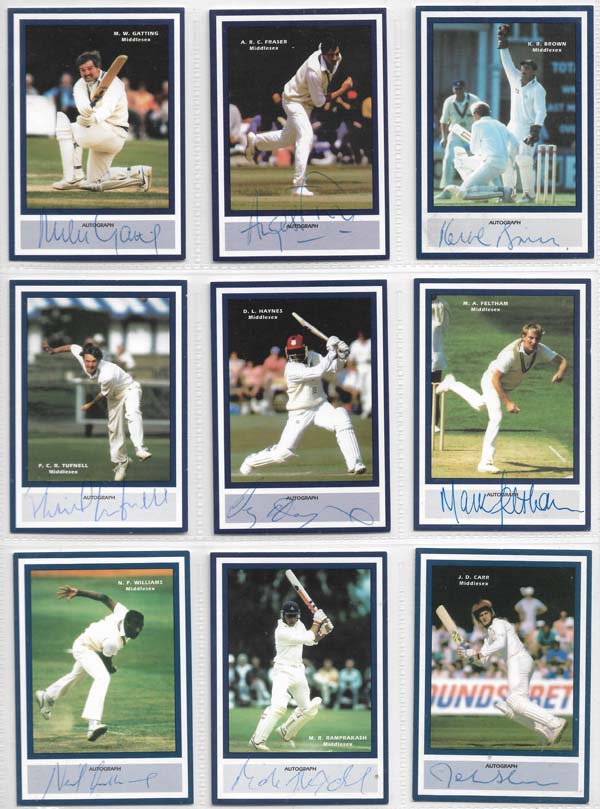 County Print 1993 County Cricketers (216)