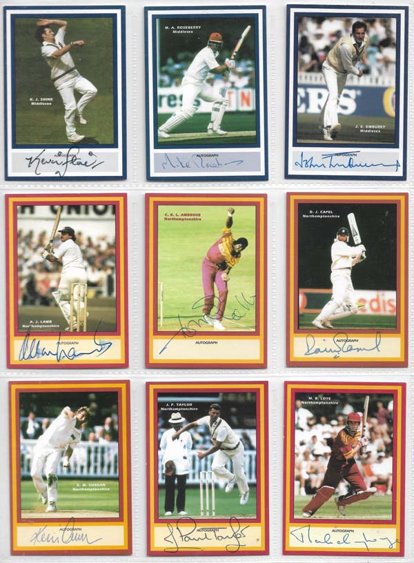 County Print 1993 County Cricketers (216)