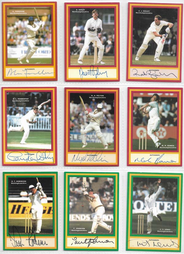 County Print 1993 County Cricketers (216)