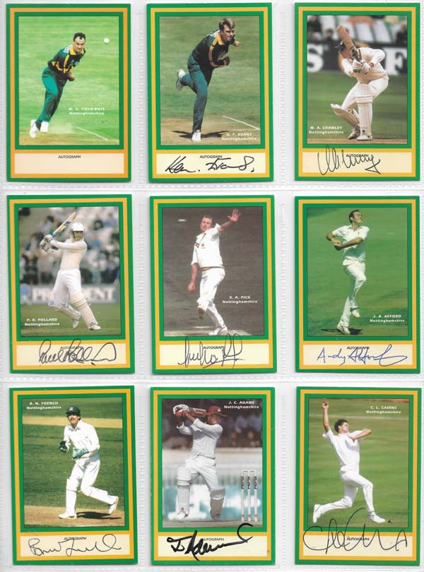 County Print 1993 County Cricketers (216)