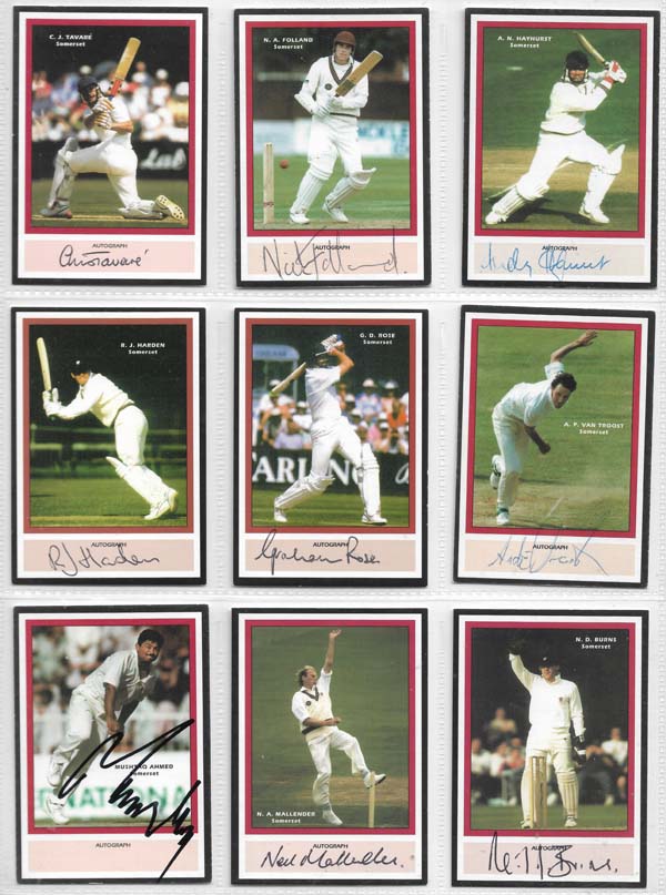 County Print 1993 County Cricketers (216)