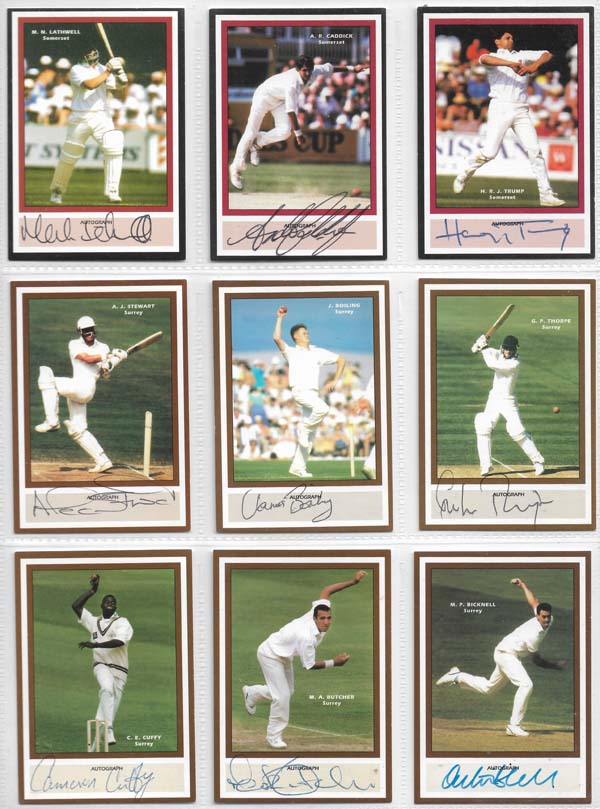 County Print 1993 County Cricketers (216)