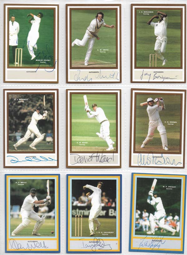 County Print 1993 County Cricketers (216)