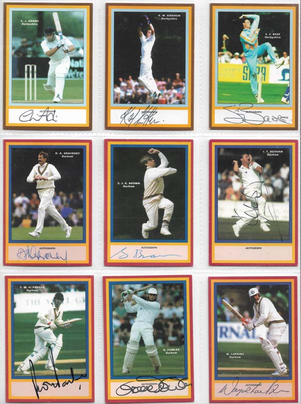 County Print 1993 County Cricketers (216)