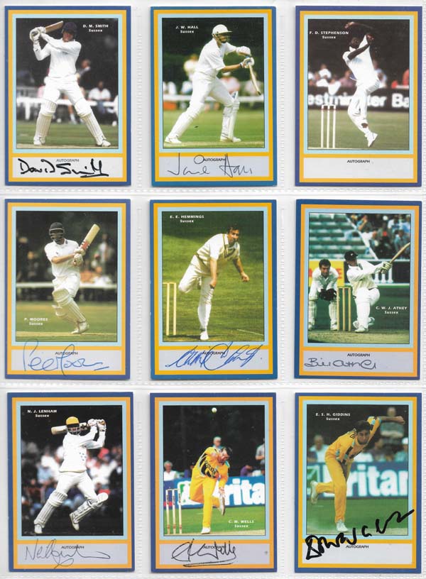 County Print 1993 County Cricketers (216)
