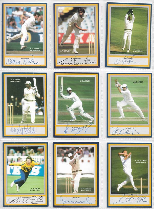 County Print 1993 County Cricketers (216)