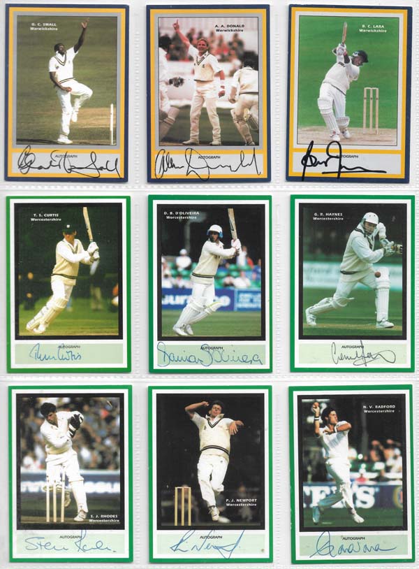 County Print 1993 County Cricketers (216)