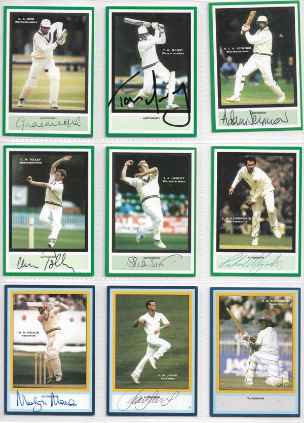 County Print 1993 County Cricketers (216)