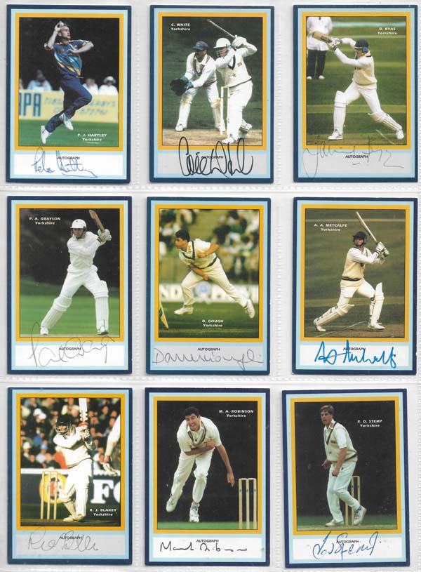 County Print 1993 County Cricketers (216)