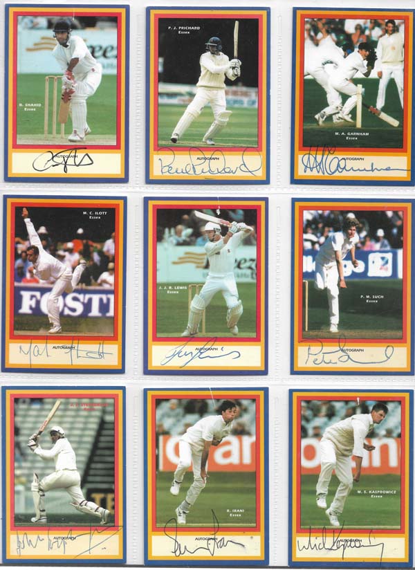 County Print 1993 County Cricketers (216)