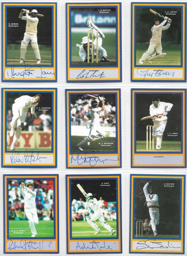 County Print 1993 County Cricketers (216)