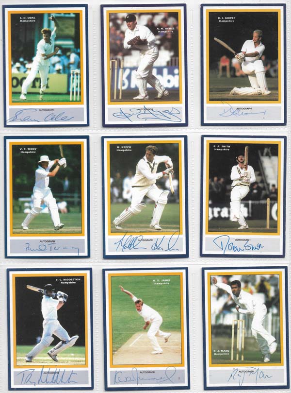 County Print 1993 County Cricketers (216)