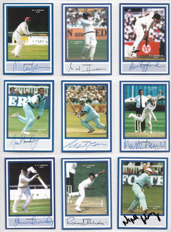 County Print 1993 County Cricketers (216)