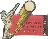 Pin