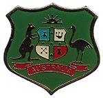 Pin