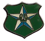 Pin