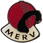 Pin