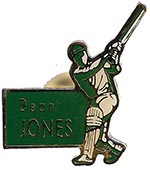 Pin