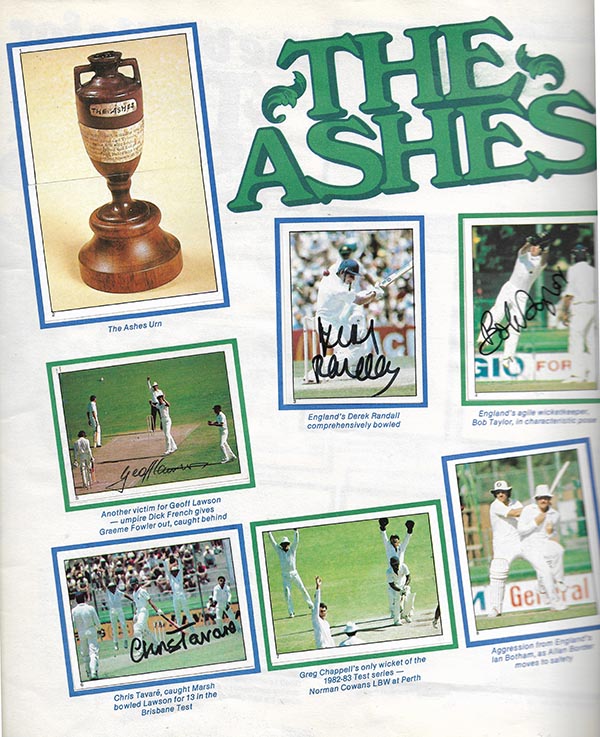 Scanlens 1983-84 Stickers (172)