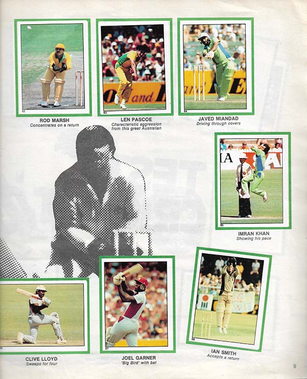 Scanlens 1982-83 Stickers (172)