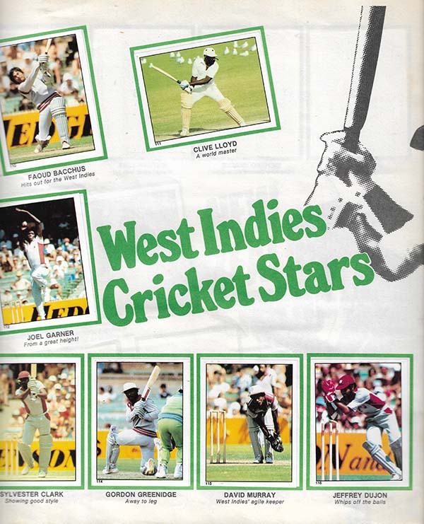 Scanlens 1982-83 Stickers (172)